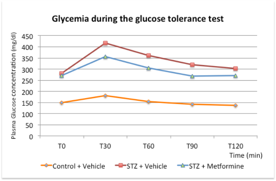 glucose tolerance test type 1 diabetes