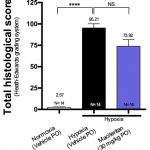 pah 3 150x150 - Cardiovascular preclinical