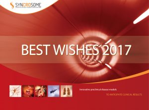 carteVoeux2017 1 300x221 - Happy New Year 2017