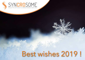 carteVoeuxSyncro2019 300x212 - From all the Syncrosome Team...