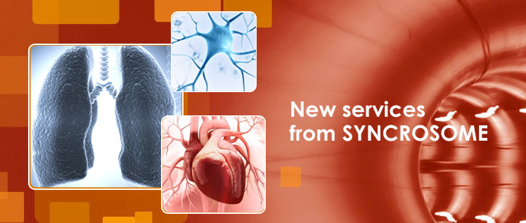 new lung 2 - New services from SYNCROSOME