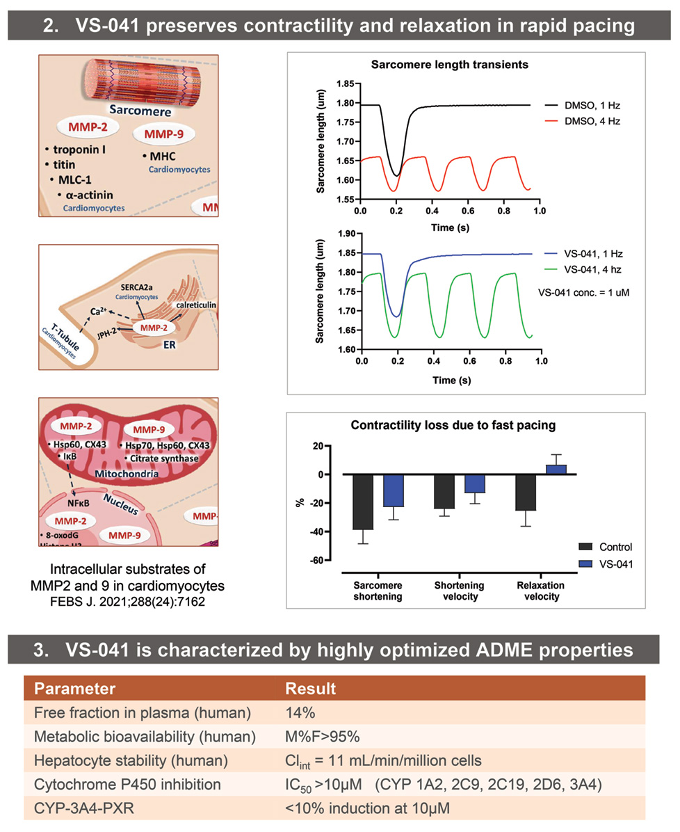 results2 3 - New cardiovascular model available at SYNCROSOME